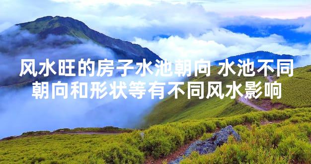 风水旺的房子水池朝向 水池不同朝向和形状等有不同风水影响